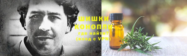 гашик Алексеевка