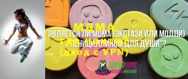 гашик Алексеевка