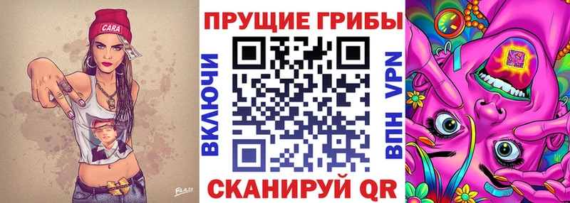 маркетплейс Telegram  Циолковский  Галлюциногенные грибы Psilocybe 